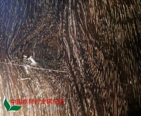 中木商網 一站式木材資訊與交易平臺