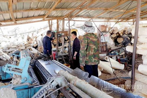 甘肅甘州龍渠鄉開展木材加工行業綜合大檢查，筑牢安全生產防線