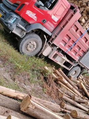 廣西緣源林產(chǎn)品木業(yè) 創(chuàng)新驅(qū)動(dòng)下的木材加工發(fā)展之路